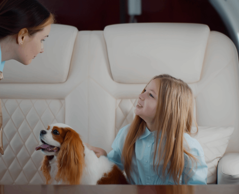 Pet Travel on Private Jets: The Logistics Behind it