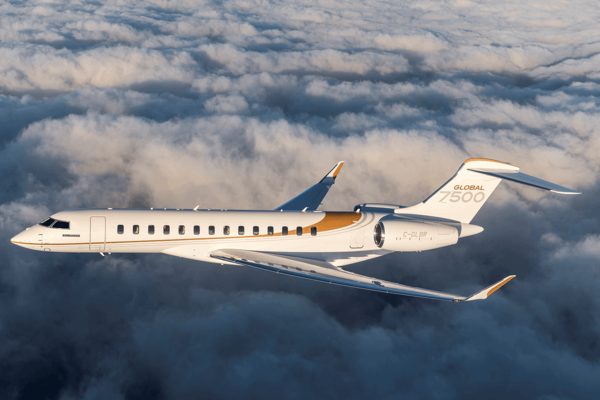 Louis Vuitton CEO Sells Jet After People Tracked It on Twitter